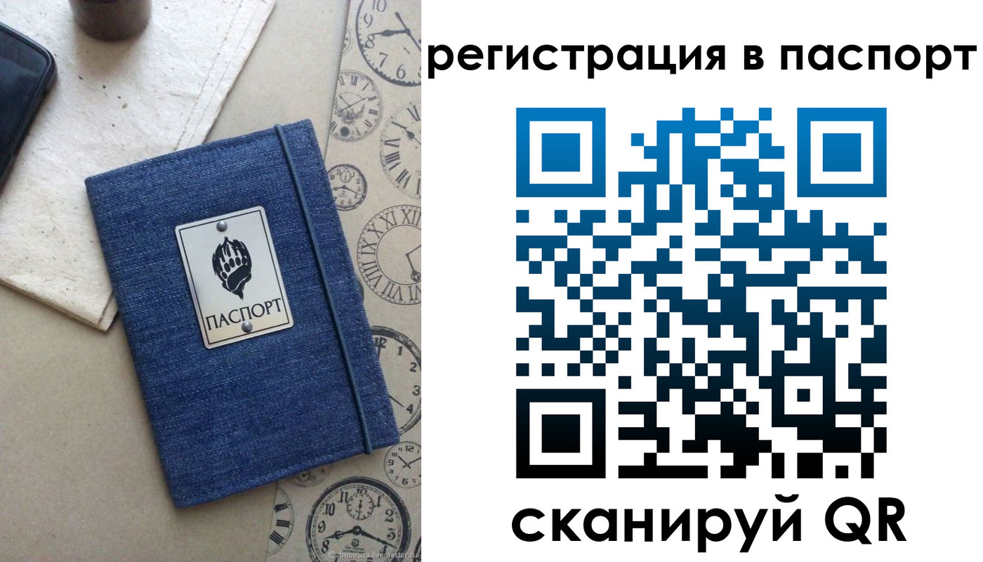 прописка в Кольчугино